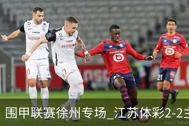 围甲联赛徐州专场 江苏体彩2-2主将负重庆坎济